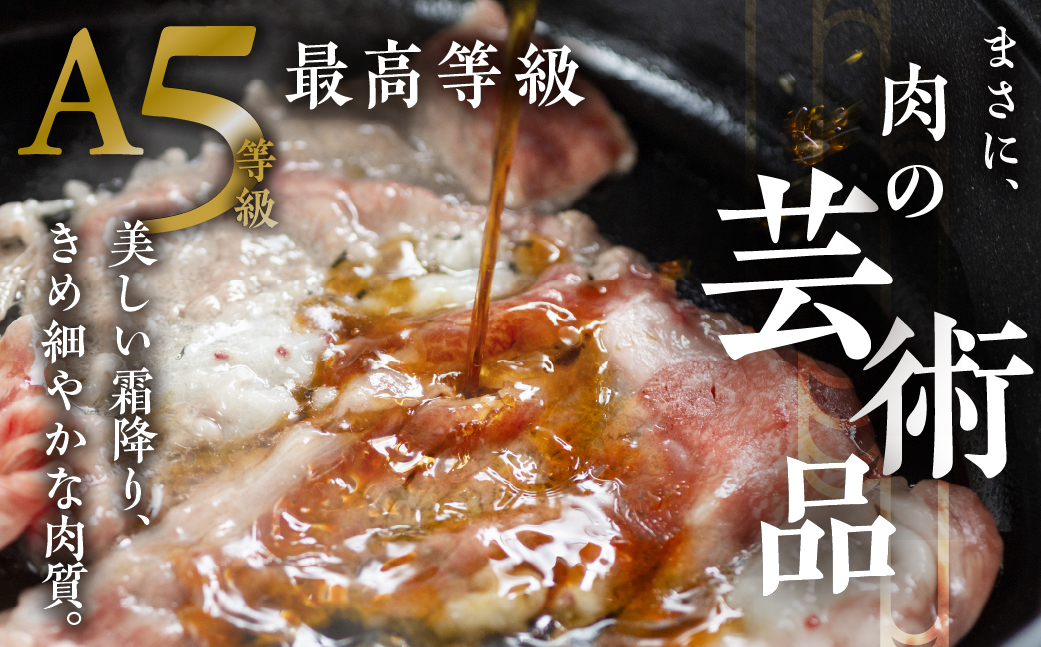 [A5等級] 飛騨牛 霜降り すき焼き ・ しゃぶしゃぶ 用 【肩ロース500g】 A5 a5 5等級 飛騨牛 和牛 国産牛 黒毛和牛 牛肉 肉 肩ロース すきやき トキノ屋