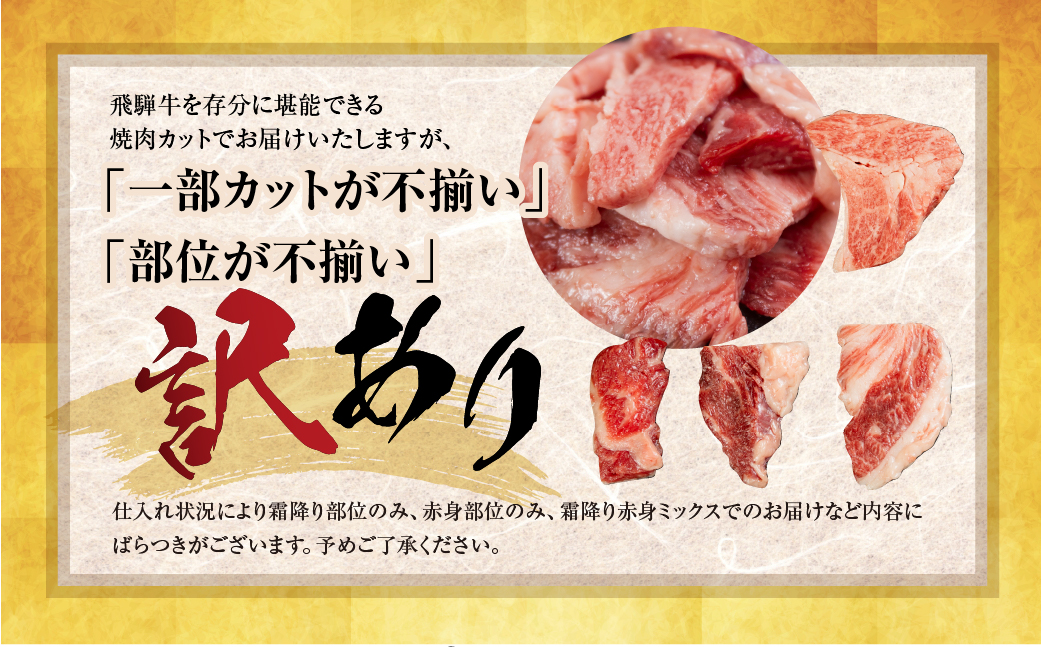 飛騨牛 焼肉 切り落とし 500g × 2 計 1kg | 牛肉 肉 切落し わけあり 訳あり商品 ワケアリ 不揃い 小分け 切り落とし小分け 冷凍 すぐ届く 本巣市 トキノ屋 食品 訳有 焼肉セット 焼肉用 [mt427]
