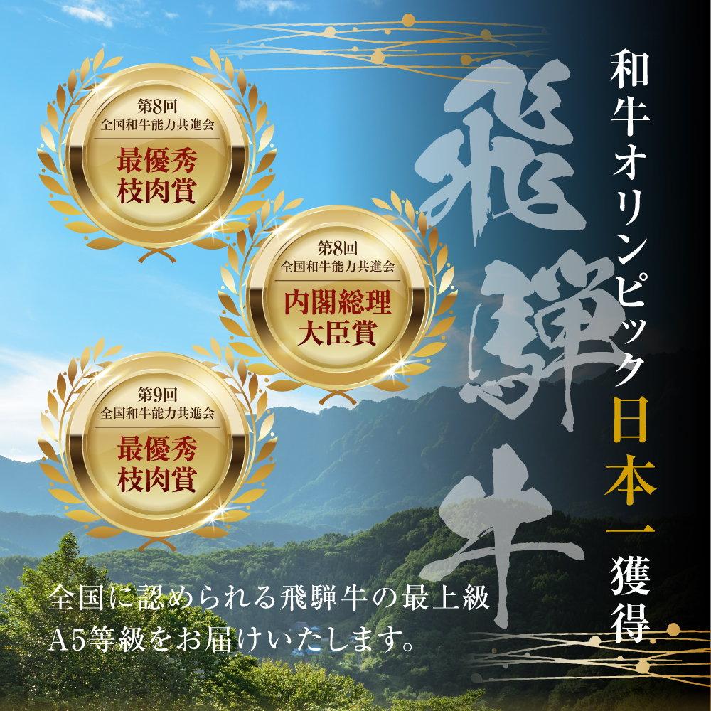【定期便・発送時期が選べる】A5 飛騨牛 5回 定期便 計 2.9kg 5ヶ月 食べ比べ A5等級 5等級 a5 牛肉 肉 和牛 国産牛 黒毛和牛 焼肉 すき焼き しゃぶしゃぶ ステーキ 赤身 霜降り お楽しみ トキノ屋食品 本巣市 [mt668]