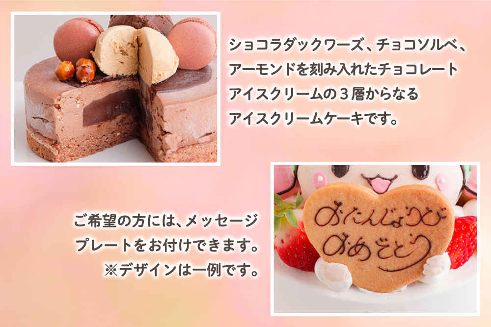 ショコラ アイスクリームケーキ｜上質 チョコをふんだんに使用 ロワゼット デザート アイス ケーキ 乳化剤 安定剤 保存料 人工甘味料 などが不使用 無添加 デザート おやつ プレゼント 誕生日 祝い [0428