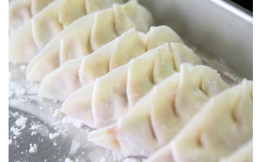 [ご当地餃子]もとすジビエ肉巻き餃子 18個入 [0316]