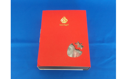 [先行予約] 岐阜のおおきないちご「華かがり」12月上旬～3月下旬に配送｜苺 イチゴ 果物 フルーツ [0815]