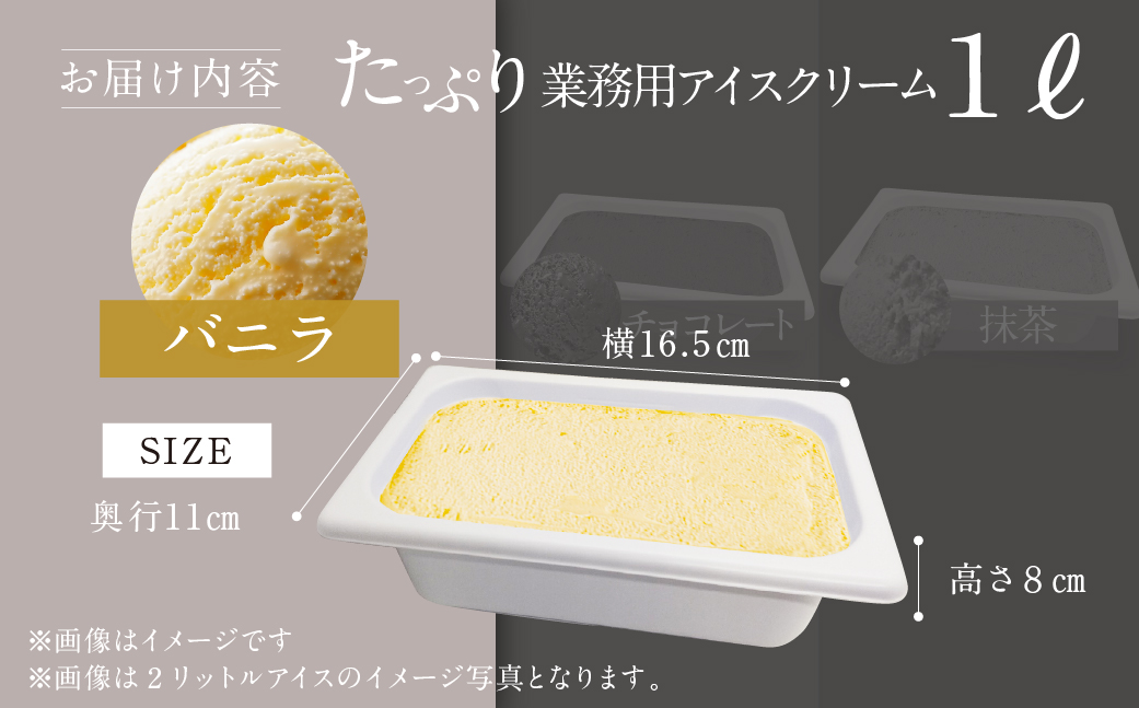 [バニラ味] 業務用アイス1リットル 大容量 アイスクリーム 訳あり 訳アリ 北海道産 純 生クリーム 牛乳 国産 岐阜県 本巣市 卵 無添加 甘い スイーツ デザート  たっぷり コーヒー メロン いちご フロート 自宅用