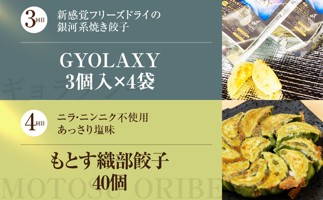 【定期便6回】餃子バラエティ（辛餃子あり）人気餃子 食べ比べ ぎふ絶品餃子 飛騨牛 餃子 もとす織部 モーニング餃子 宇宙餃子 唐辛子餃子 冷凍餃子 業務用 ぎょうざ ギョウザ 冷凍 グルメ お取り寄せ グルメ 冷凍食品 国産素材 肉 牛肉 豚肉 ジューシー もちもち [mt1863]