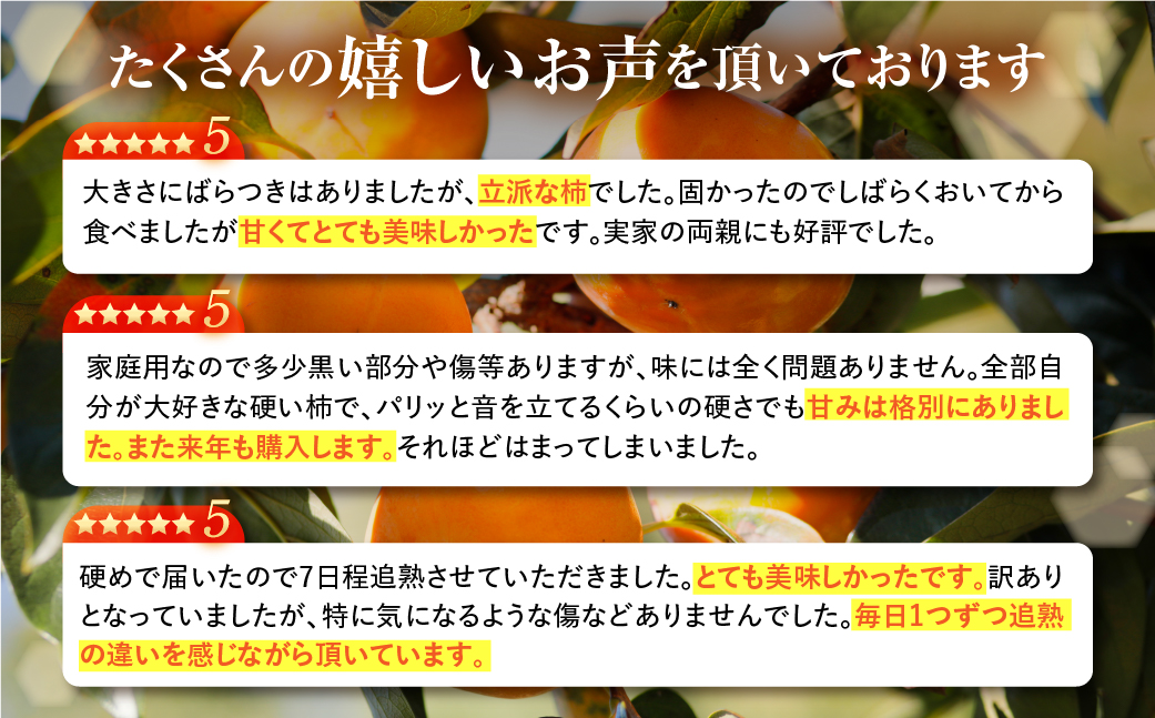 《 訳あり 》令和7年産 富有柿 ご家庭用 3kg M,L,2Lサイズ 福井農園 [11月～12月に発送予定] 先行予約 富有柿 ふゆうがき かき フルーツ 柿 かき 規格外 わけあり 不揃い ふぞろい ご自宅用 果物 くだもの フルーツ 本巣市