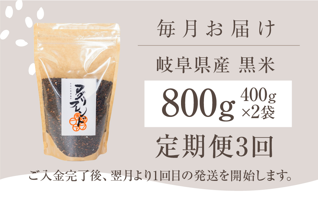 【定期便3回】黒米 800g (400g × 2袋）米 こめ ごはん 健康 古代米 岐阜県産 本巣市 お米 美容 健康 おにぎり 弁当 おいしい 旨味 ぷちぷち 和食 アグリフレンドホリグチ 3か月