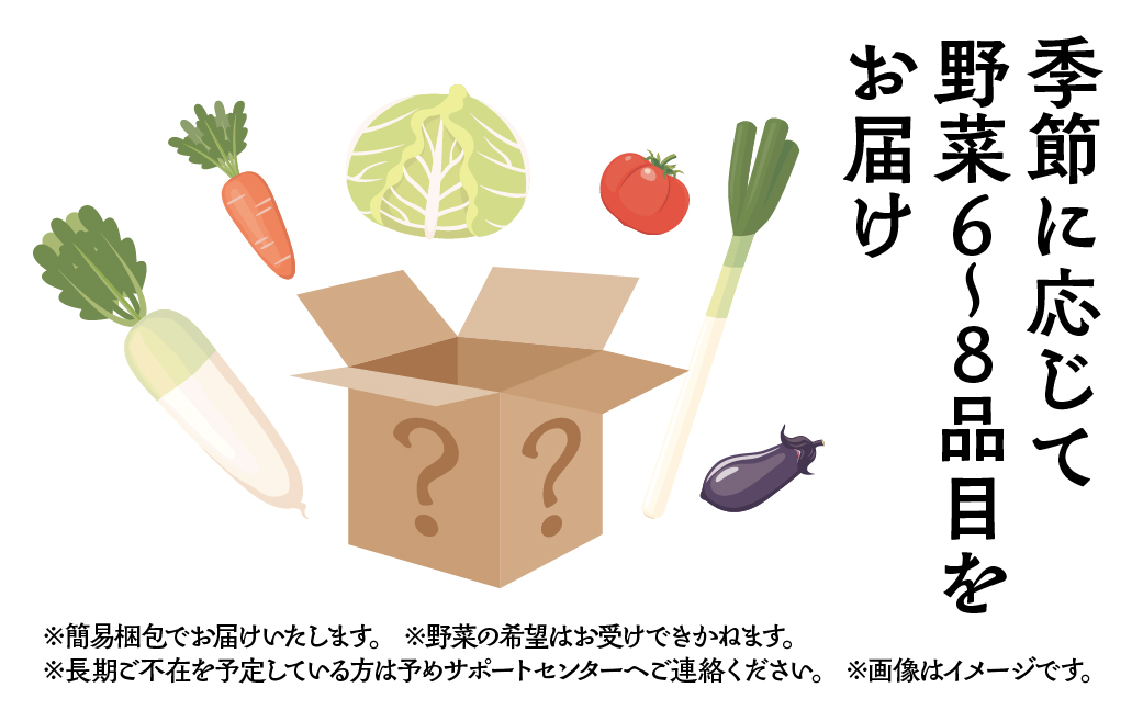 季節の野菜セットA 6～8品目 お届け回数 3回 お届け 定期便 3か月 品目おまかせ BBQ 春 夏 秋 冬 野菜 料理 自宅用 岐阜県産 本巣市 新鮮 やさい 数量限定 冷蔵 道の駅 織部の里 [mt1615]
