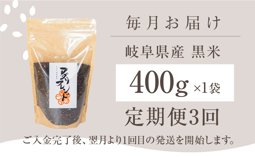 【定期便3回】黒米 400g 米 こめ ごはん 健康 古代米 岐阜県産 本巣市 お米 美容 健康 おにぎり 弁当 おいしい 旨味 ぷちぷち 和食 アグリフレンドホリグチ 3か月