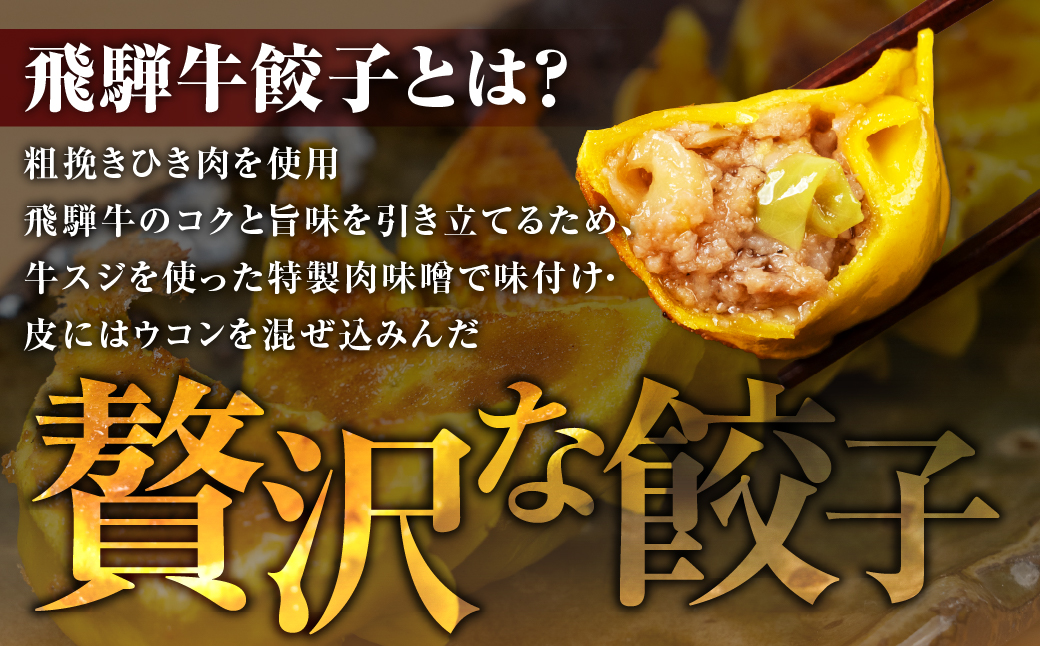 贅沢！飛騨牛 肉巻餃子 5個 餃子 ぎょうざ ギョウザ 飛騨牛 a5 赤身 もも モモ 肉 スライス 和牛 黒毛和牛 国産 冷凍 総菜 ごはん 晩酌 のお供に お取り寄せ オリジナル 冷凍 [mt1826] 15000円