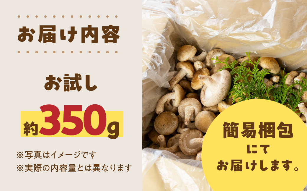 【訳あり】 生しいたけ 約 350g お試し サイズ 混合 不揃い おまかせ 簡易梱包 訳あり 訳アリ BBQ 野菜 栽培期間中 農薬不使用 岐阜県産 本巣市 国産 きのこ キノコ シイタケ 産地直送 新鮮 数量限定 冷蔵 モトスマッシュ [mt1915]