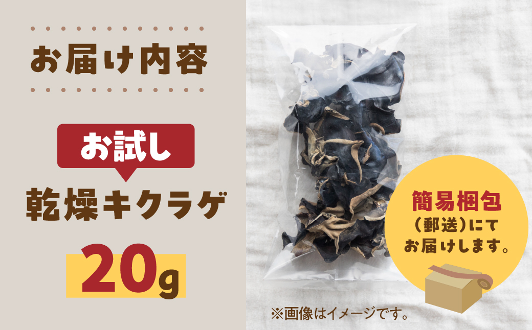 【お試し】乾燥 キクラゲ 約 20g メール便 サイズ 混合 不揃い おまかせ 簡易梱包 訳あり 訳アリ 料理 野菜 栽培期間中 農薬不使用 岐阜県産 本巣市 国産 きのこ キノコ きくらげ 産地直送 新鮮 数量限定 モトスマッシュ [mt1918] 4000円 4千円