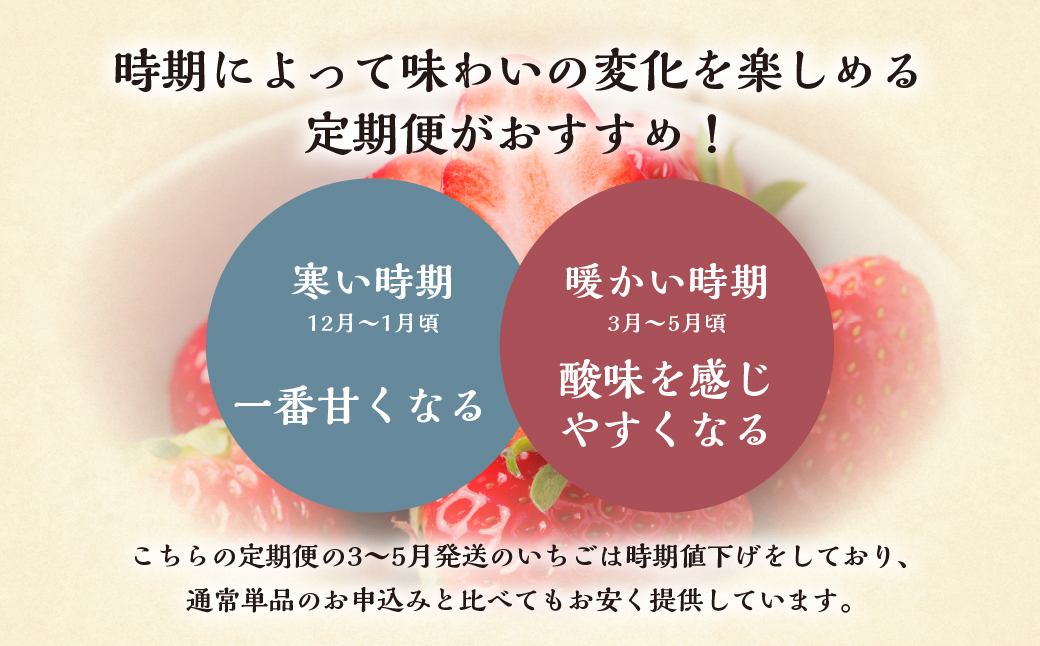 【定期便3回】 いちご贅沢 紅ほっぺ 450g 1kg しあわせ苺 サイズ バラバラ 訳あり 訳アリ 含む 農園直送 [mt198] フルーツ 苺 イチゴ 人気 本巣市 果物 先行予約 [mt211]