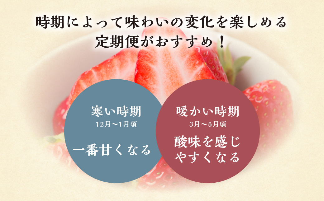 【定期便5回】 いちご贅沢 定期便 5回 紅ほっぺ 1kg ( 250g × 4p ) しあわせ苺 サイズ バラバラ 訳あり 訳アリ 含む 農園直送 フルーツ 苺 イチゴ 人気 本巣市 果物 先行予約 family農園watanabe