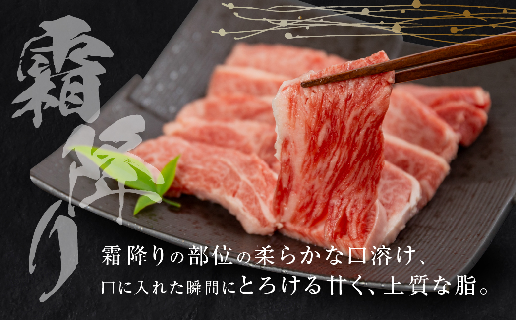 飛騨牛 焼肉 切り落とし 500g × 2 計 1kg | 牛肉 肉 切落し わけあり 訳あり商品 ワケアリ 不揃い 小分け 切り落とし小分け 冷凍 すぐ届く 本巣市 トキノ屋 食品 訳有 焼肉セット 焼肉用 [mt427]