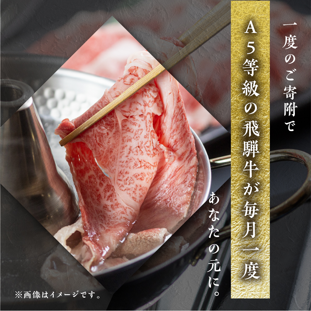【定期便・発送時期が選べる】A5 飛騨牛 5回 定期便 計 2.9kg 5ヶ月 食べ比べ A5等級 5等級 a5 牛肉 肉 和牛 国産牛 黒毛和牛 焼肉 すき焼き しゃぶしゃぶ ステーキ 赤身 霜降り お楽しみ トキノ屋食品 本巣市 [mt668]