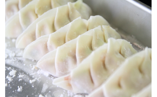 [ご当地餃子]ぎふ夢餃子3種食べ比べセット(30個) 焼き冷凍 [0321]