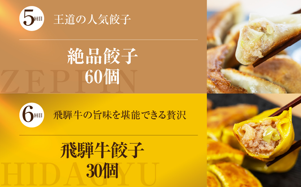 【定期便6回】餃子バラエティ 人気餃子 食べ比べ ぎふ絶品餃子 飛騨牛 餃子 もとす織部 モーニング餃子 宇宙餃子 冷凍餃子 業務用 ぎょうざ ギョウザ 冷凍 グルメ お取り寄せ グルメ 冷凍食品 国産素材 肉 牛肉 豚肉 ジューシー もちもち [mt1862]