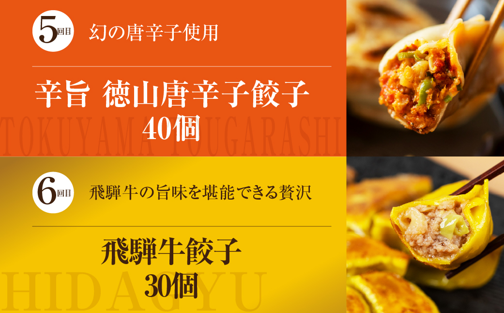 【定期便6回】餃子バラエティ（辛餃子あり）人気餃子 食べ比べ ぎふ絶品餃子 飛騨牛 餃子 もとす織部 モーニング餃子 宇宙餃子 唐辛子餃子 冷凍餃子 業務用 ぎょうざ ギョウザ 冷凍 グルメ お取り寄せ グルメ 冷凍食品 国産素材 肉 牛肉 豚肉 ジューシー もちもち [mt1863]