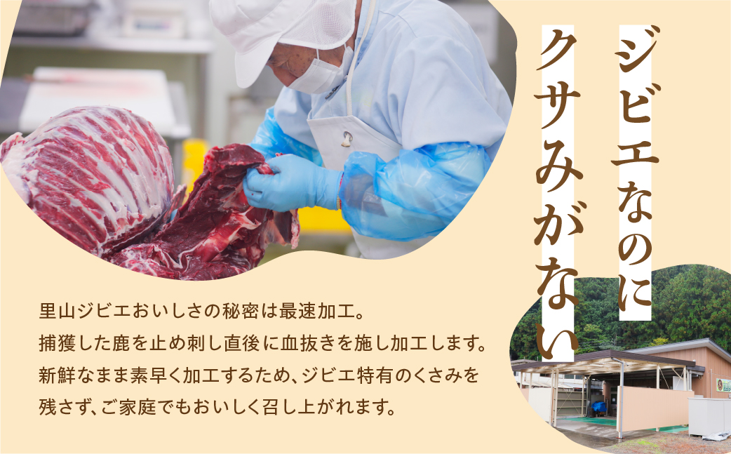 日本鹿の干し肉 鹿肉 ジビエ おつまみ ジャーキー おやつ 2袋 訳あり わけあり 国産 天然
