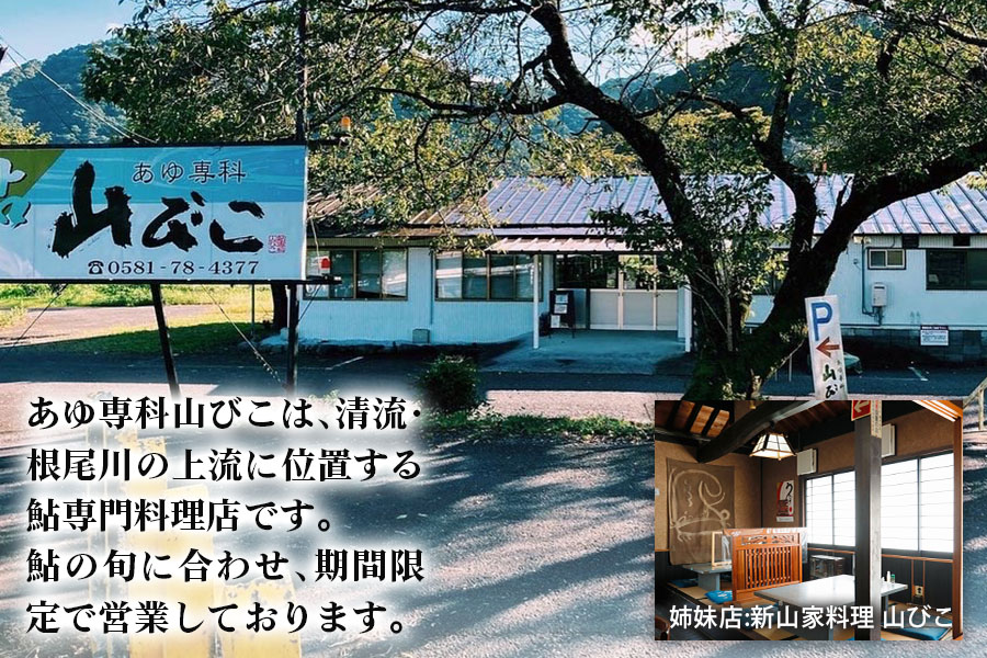 鮎甘露煮(2匹×3パック)【厳選養殖鮎使用、鮎本来の風味を生かした甘露煮】[mt1554]