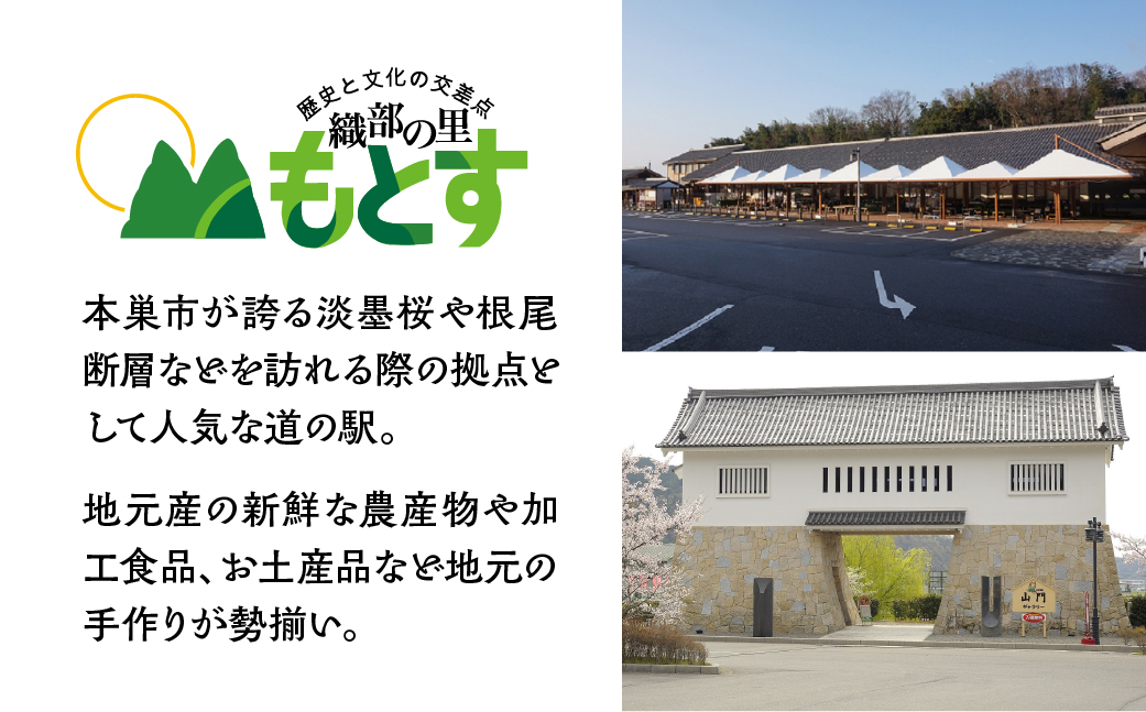 季節の野菜セットA 6～8品目  品目おまかせ BBQ 春 夏 秋 冬 野菜 料理 自宅用 岐阜県産 本巣市 新鮮 やさい 数量限定 冷蔵 道の駅 織部の里 [mt1587]