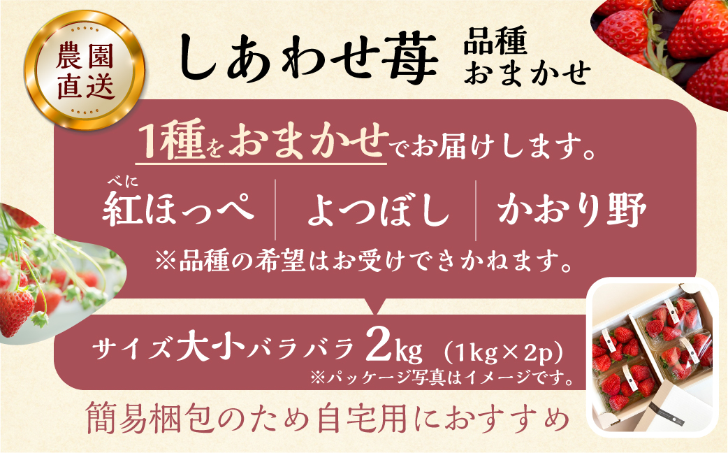 【2026年1月以降発送】 自宅用 品種おまかせ いちご2kg (1kg × 2セット) [しあわせ苺] サイズ バラバラ 訳あり 訳アリ 農園直送 フルーツ 果物 苺 イチゴ 子ども 大人 人気 小分け 簡易梱包 家庭用 産地直送 紅ほっぺ よつぼし かおり野 先行予約 岐阜 期間限定 [mt1799_25] family農園watanabe