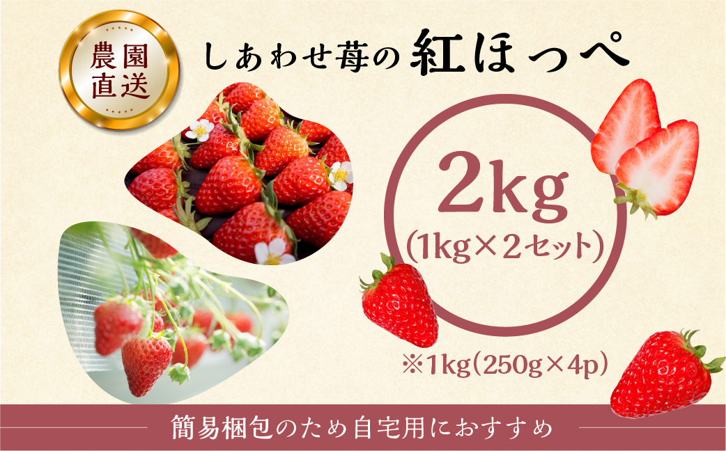 【2026年1月以降発送】 自宅用 いちご 紅ほっぺ 2kg (1kg × 2セット) [しあわせ苺] サイズ バラバラ 訳あり 訳アリ 農園直送 フルーツ 果物 苺 イチゴ 子ども 大人 人気 小分け 簡易梱包 家庭用 産地直送 先行予約 岐阜 期間限定