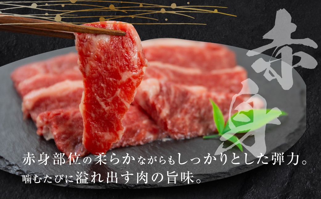 飛騨牛 焼肉 切り落とし 500g × 2 計 1kg | 牛肉 肉 切落し わけあり 訳あり商品 ワケアリ 不揃い 小分け 切り落とし小分け 冷凍 すぐ届く 本巣市 トキノ屋 食品 訳有 焼肉セット 焼肉用 [mt427]