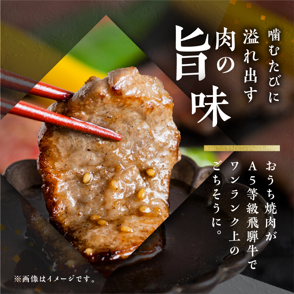 【定期便・発送時期が選べる】A5 飛騨牛 5回 定期便 計 2.9kg 5ヶ月 食べ比べ A5等級 5等級 a5 牛肉 肉 和牛 国産牛 黒毛和牛 焼肉 すき焼き しゃぶしゃぶ ステーキ 赤身 霜降り お楽しみ トキノ屋食品 本巣市 [mt668]