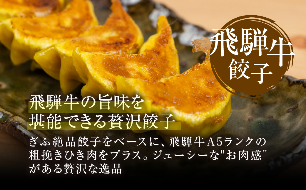 【定期便3回】餃子バラエティ 人気餃子 食べ比べ ぎふ絶品餃子 飛騨牛 餃子 もとす織部 冷凍餃子 業務用 ぎょうざ ギョウザ 冷凍 グルメ お取り寄せ グルメ 冷凍食品 国産素材 肉 牛肉 豚肉 ジューシー もちもち [mt1861]