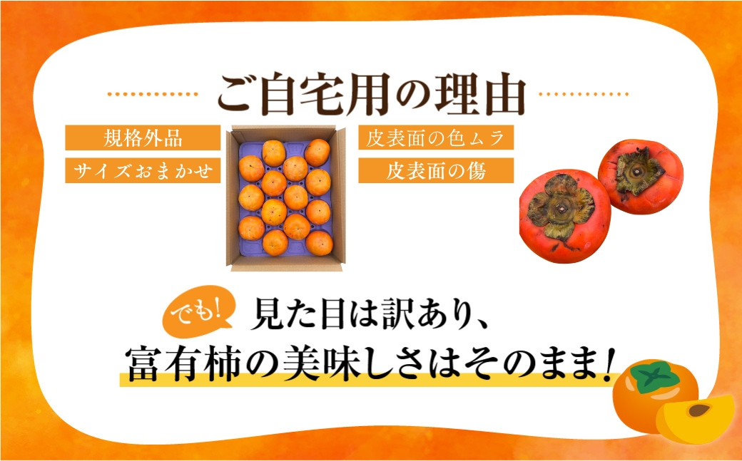 《 訳あり 》令和7年産 富有柿 ご家庭用 3kg M,L,2Lサイズ 福井農園 [11月～12月に発送予定] 先行予約 富有柿 ふゆうがき かき フルーツ 柿 かき 規格外 わけあり 不揃い ふぞろい ご自宅用 果物 くだもの フルーツ 本巣市