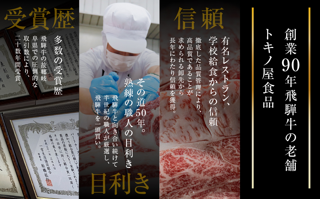 飛騨牛 焼肉 切り落とし 500g × 2 計 1kg | 牛肉 肉 切落し わけあり 訳あり商品 ワケアリ 不揃い 小分け 切り落とし小分け 冷凍 すぐ届く 本巣市 トキノ屋 食品 訳有 焼肉セット 焼肉用 [mt427]