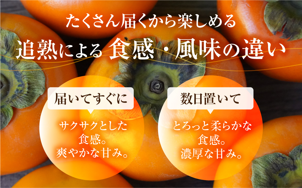 《 訳あり 》令和7年産 富有柿 ご家庭用 3kg M,L,2Lサイズ 福井農園 [11月～12月に発送予定] 先行予約 富有柿 ふゆうがき かき フルーツ 柿 かき 規格外 わけあり 不揃い ふぞろい ご自宅用 果物 くだもの フルーツ 本巣市