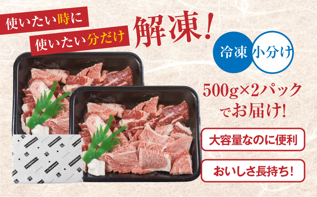飛騨牛 焼肉 切り落とし 500g × 2 計 1kg | 牛肉 肉 切落し わけあり 訳あり商品 ワケアリ 不揃い 小分け 切り落とし小分け 冷凍 すぐ届く 本巣市 トキノ屋 食品 訳有 焼肉セット 焼肉用 [mt427]