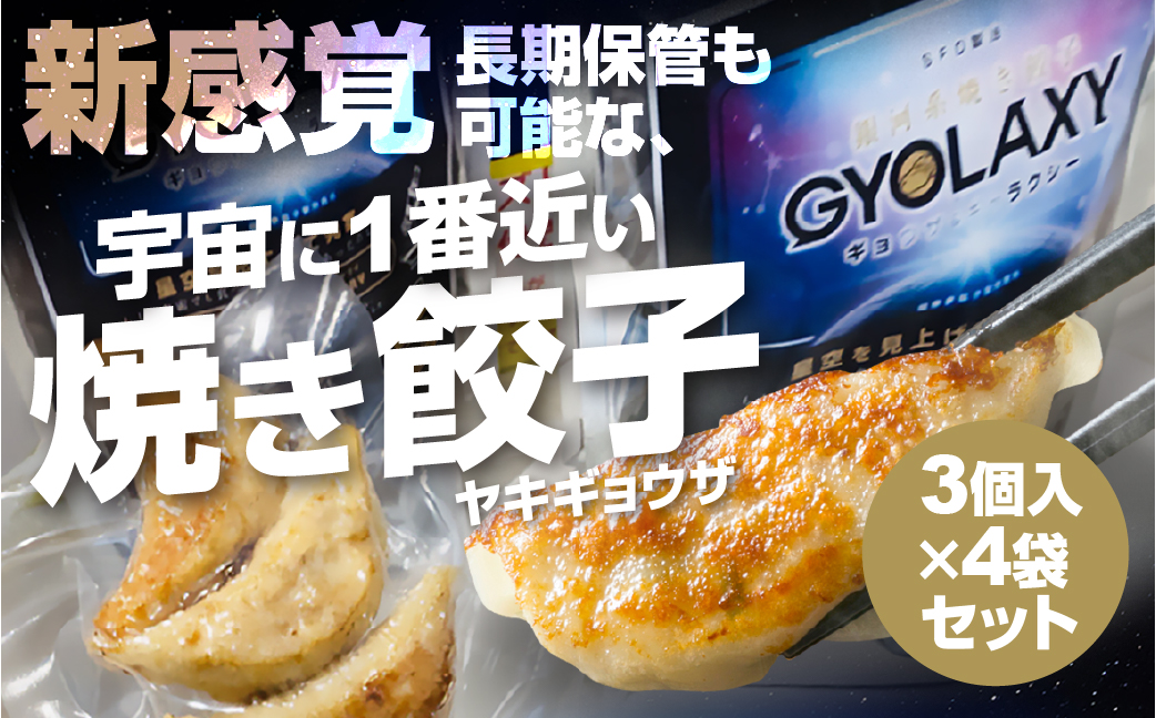 [宇宙に一番近い焼き餃子] 銀河系焼き餃子 GYOLAXY 3個入×4袋 [0322]