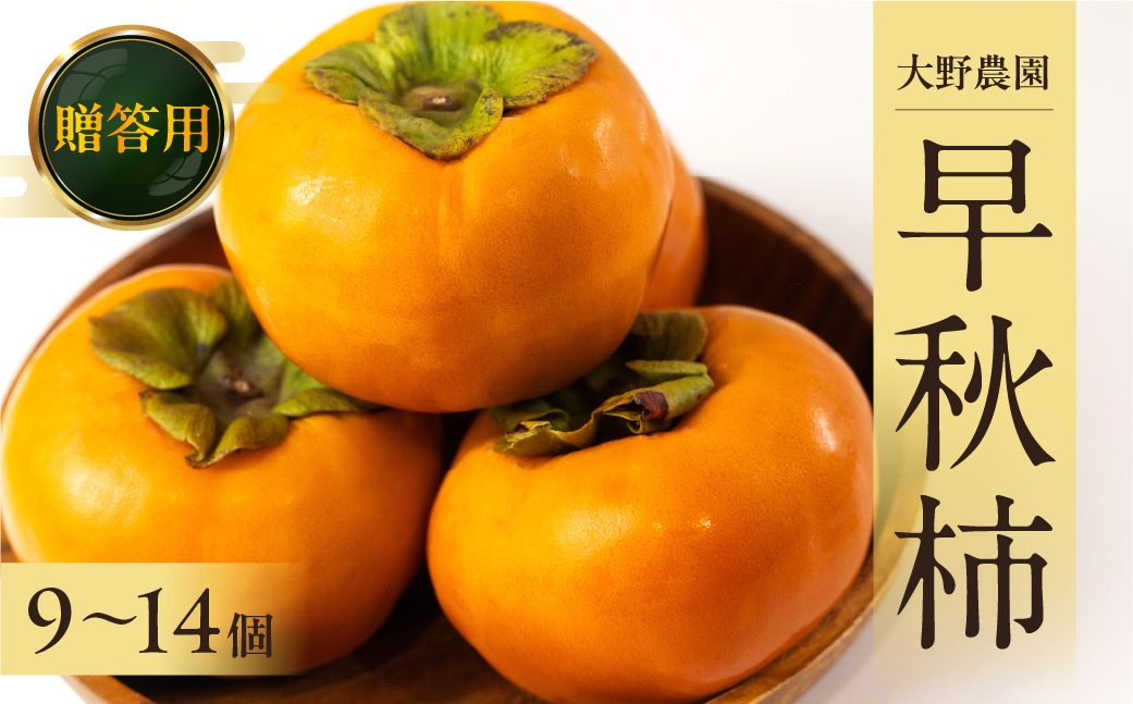 [令和７年産]《早い甘柿》大野農園の早秋柿 (9～14個入) 10月上旬～10月下旬発送予定 [mt1557]