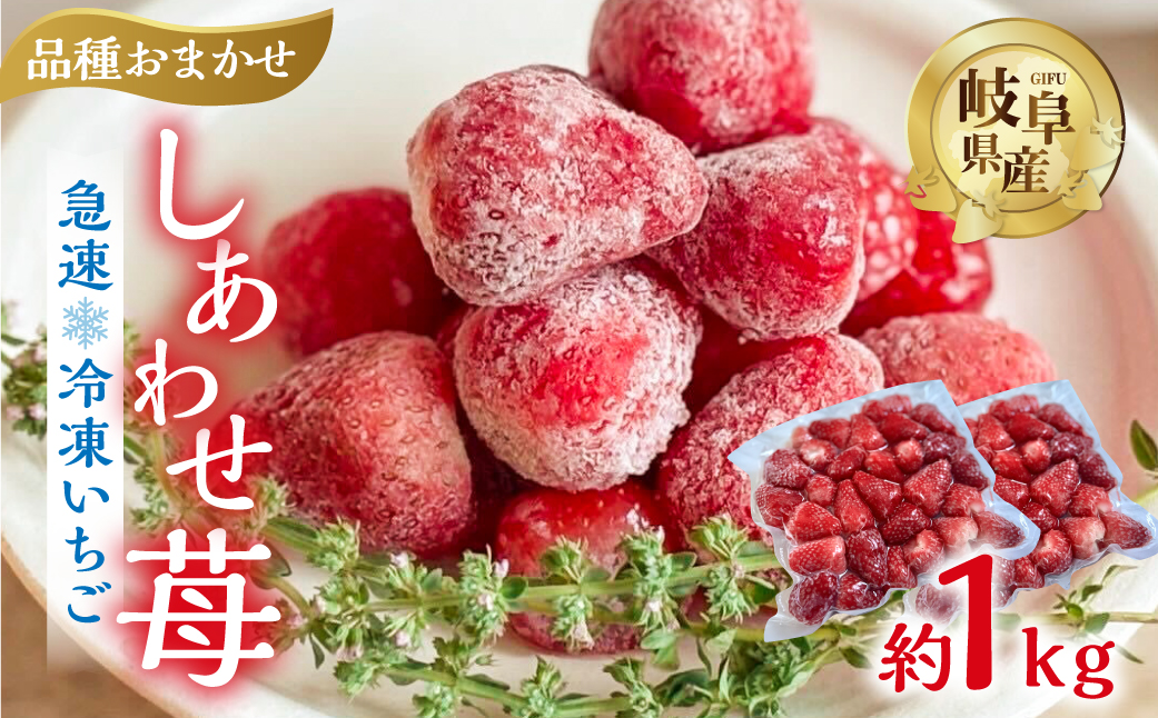 【2026年5月より発送】 《 訳あり 》 冷凍いちご 品種おまかせ 1kg (500g × 2p) 簡易梱包 サイズ 不揃い のため 訳あり 訳アリ フルーツ 果物 苺 いちご イチゴ 紅ほっぺ よつぼし かおり野 アイス ヨーグルト 苺 family農園watanabe 子ども 小分け 家庭用 国産 産地直送 岐阜県 本巣市 8000円 8千円 [mt1560_omkase]