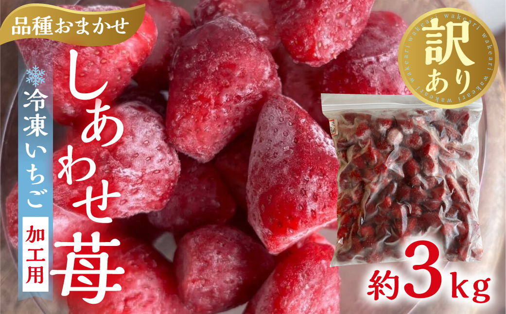 【2026年5月より発送】 《 業務用の大袋 》 加工向きな 冷凍いちご 品種おまかせ 3kg 簡易梱包 サイズ 不揃い のため 訳あり 訳アリ フルーツ 果物 苺 いちご イチゴ 紅ほっぺ よつぼし かおり野 アイス ヨーグルト シャーベット 苺 family農園watanabe 子ども 家庭用 業務 加工向け 国産 産地直送 岐阜県 本巣市 15000円 [mt1562_omkase]