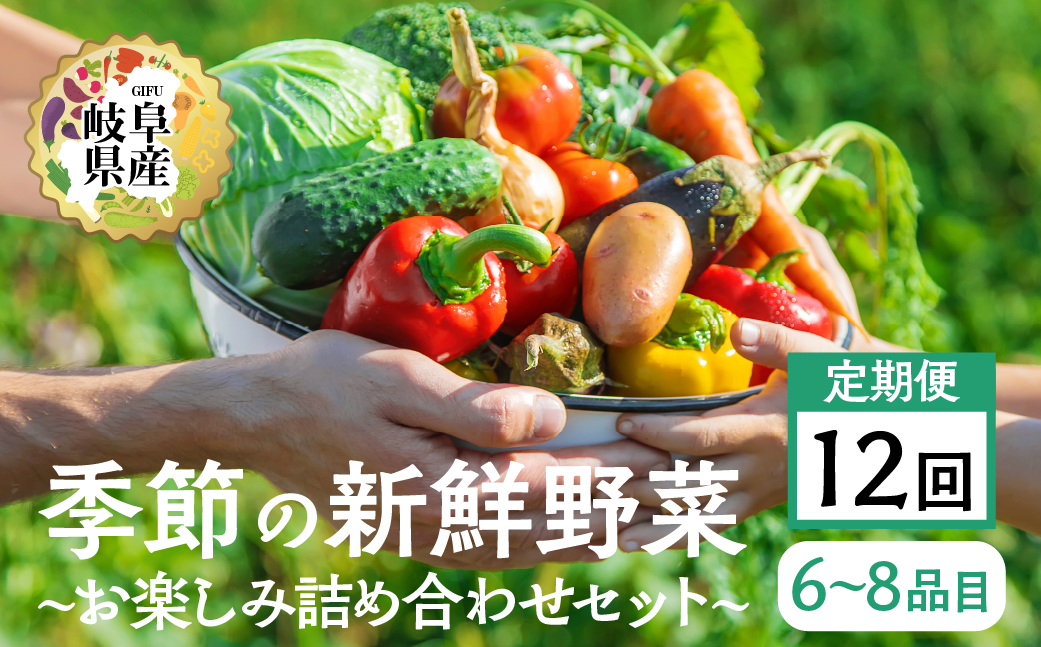 季節の野菜セットA 6～8品目 お届け回数 12回 お届け 定期便 12か月 品目おまかせ BBQ 春 夏 秋 冬 野菜 料理 自宅用 岐阜県産 本巣市 新鮮 やさい 数量限定 冷蔵 道の駅 織部の里 [mt1617]