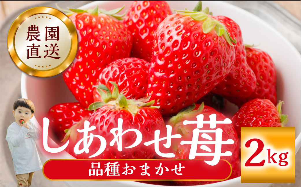 【2026年1月以降発送】 自宅用 品種おまかせ いちご2kg (1kg × 2セット) [しあわせ苺] サイズ バラバラ 訳あり 訳アリ 農園直送 フルーツ 果物 苺 イチゴ 子ども 大人 人気 小分け 簡易梱包 家庭用 産地直送 紅ほっぺ よつぼし かおり野 先行予約 岐阜 期間限定 [mt1799_25] family農園watanabe