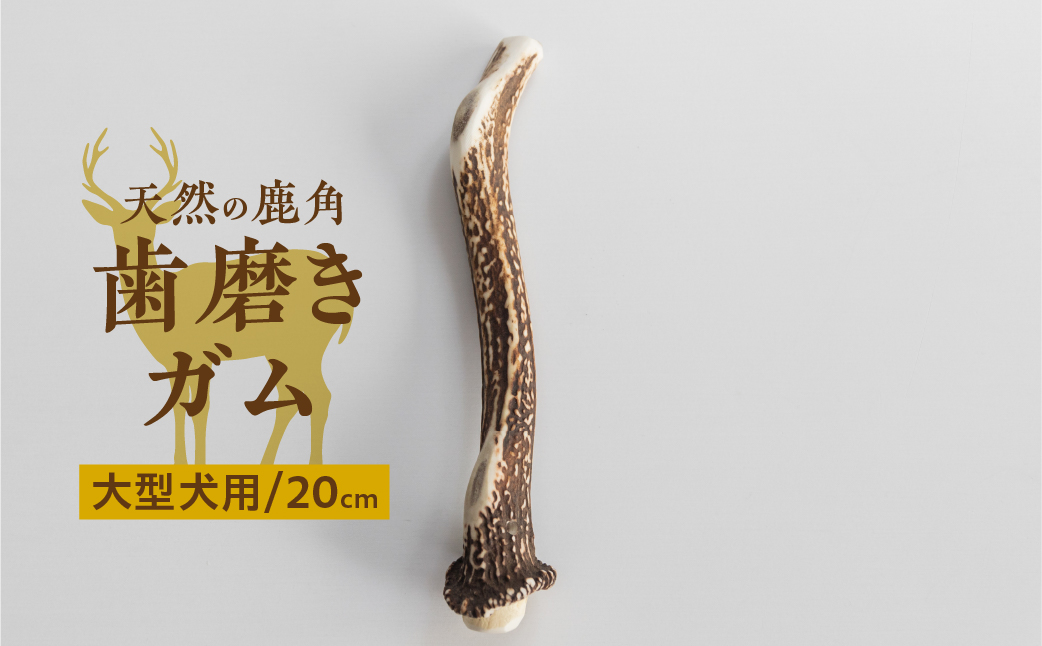 鹿角 犬用 歯磨きガム 20cm 大型犬用 デンタルケア おもちゃ ペット用品 犬 消毒済み 国産 天然 [mt1859]