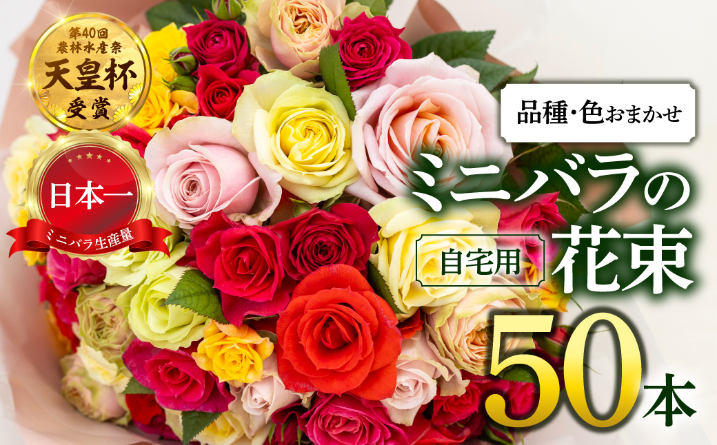 産地直送 ミニバラ 花束 50本 [申込から3か月以内 お届け] ラッピング付 切花 切り花 カットローズ 品種 色 おまかせ 訳あり 訳アリ 四季咲き ミニ バラ 花 ガーデニング 生産量 日本一 ※沖縄 離島配送不可 薔薇 セントラルローズ