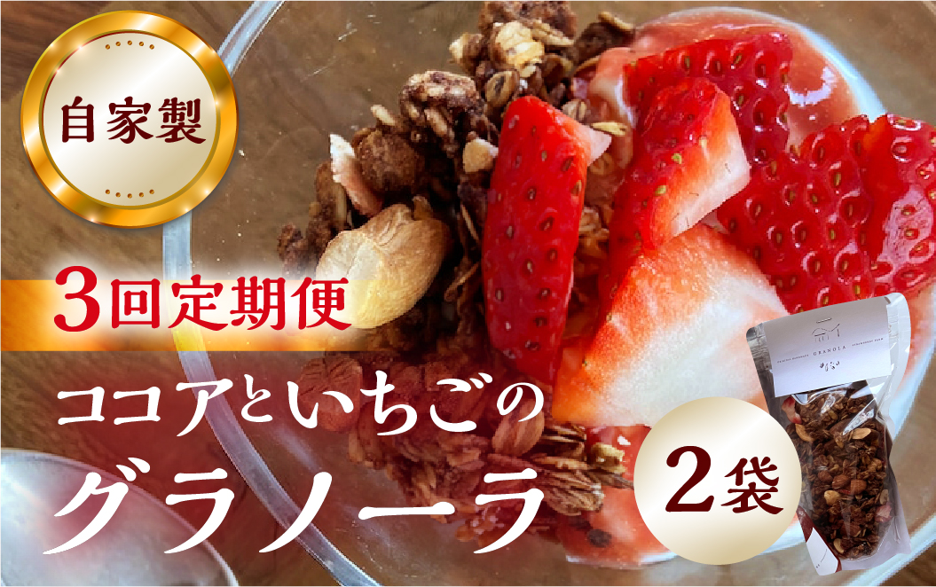 【3回定期便】【2026年2月～発送】いちごとココアのグラノーラ2袋 family農園watanabe ココア いちご 紅ほっぺ シリアル 朝食 ギフト ｜フルーツ スイーツ 苺 牛乳 デザート おやつ イチゴ 子ども 大人 人気 甘い ビター 岐阜県 本巣市 [mt293]
