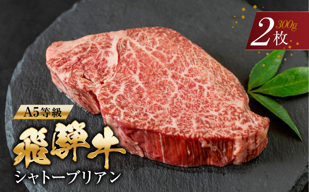 [A5等級] 飛騨牛 シャトーブリアンステーキ 2枚 |牛肉 肉 和牛 国産牛 牛肉 肉 ステーキ ヒレ ヒレステーキ 冷凍 岐阜 本巣市 トキノ屋 食品
