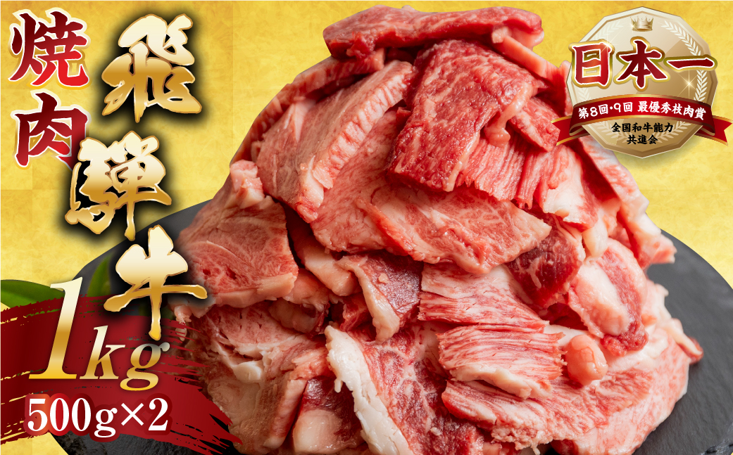 飛騨牛 焼肉 切り落とし 500g × 2 計 1kg | 牛肉 肉 切落し わけあり 訳あり商品 ワケアリ 不揃い 小分け 切り落とし小分け 冷凍 すぐ届く 本巣市 トキノ屋 食品 訳有 焼肉セット 焼肉用 [mt427]
