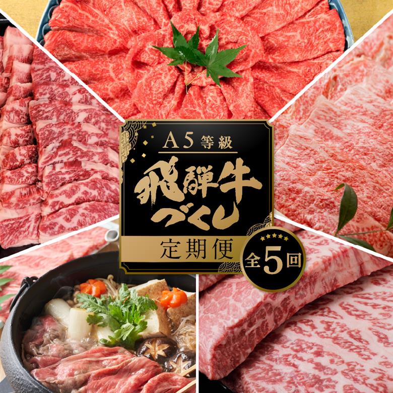 【定期便・発送時期が選べる】A5 飛騨牛 5回 定期便 計 2.9kg 5ヶ月 食べ比べ A5等級 5等級 a5 牛肉 肉 和牛 国産牛 黒毛和牛 焼肉 すき焼き しゃぶしゃぶ ステーキ 赤身 霜降り お楽しみ トキノ屋食品 本巣市 [mt668]