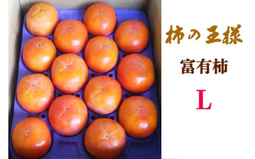 [先行予約]《柿の王様》加藤果樹園の富有柿Lサイズ14個入り 11月上旬～12月上旬発送予定 [1039]