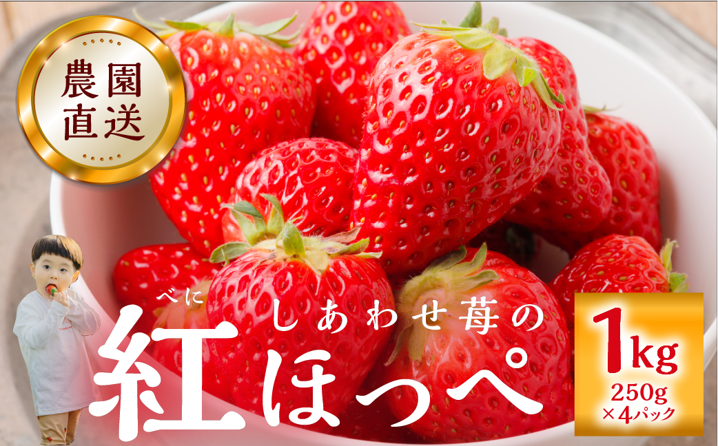 先行予約 自宅用 いちご 紅ほっぺ 1kg (250g × 4p) [しあわせ苺] サイズ バラバラ 訳あり 訳アリ 農園直送 フルーツ 果物 苺 イチゴ 子ども 大人 人気 小分け 簡易梱包 家庭用 産地直送 岐阜 期間限定 [202409_フルーツ先行予約]いちご