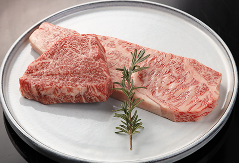 【冷凍】2種類の部位を食べ比べ！飛騨牛ステーキセット （サーロイン 200g×1枚・ヒレ 100g×１枚）最高級 国産 牛肉 和牛 ブランド牛 【22-21】