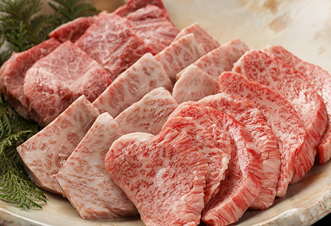 【冷凍】飛騨牛希少部位焼肉セット 計450g（トモサンカク 150g・ミスジ 150g・イチボ 150g）最高級 国産 牛肉 ブランド牛 和牛  【22-28】